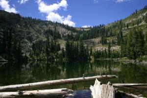 316219 copy (Custom)