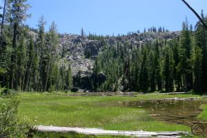 427135 copy (Custom)