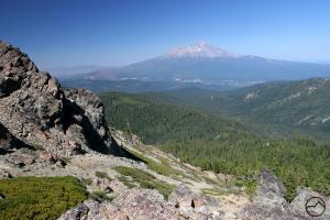 427142 copy (Custom)