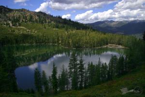 427150 copy (Custom)