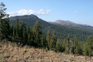 431396 copy (Custom)