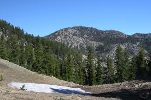 527487 copy (Custom)