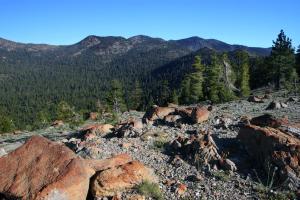 527489 copy (Custom)