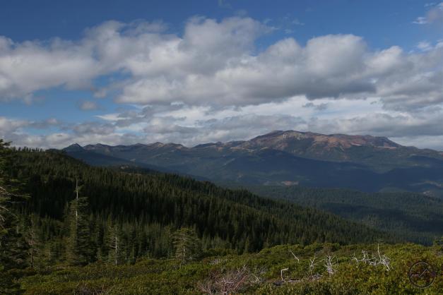 The Eddy Range from the Castle Lake Trail.
