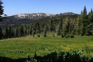 670807 copy (Custom)