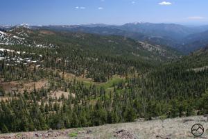 680806 copy (Custom)