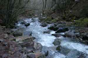 694719 copy (Custom)