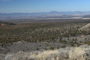 699280 copy (Custom)