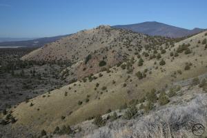 699283 copy (Custom)