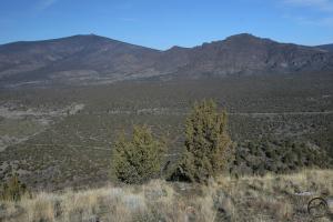 699291 copy (Custom)