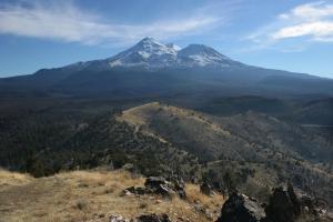 699294 copy (Custom)