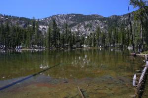 735422 copy (Custom)