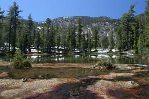 735423 copy (Custom)