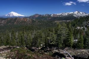 735429 copy (Custom)