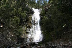 756083 copy (Custom)