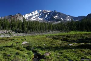 Mount Shasta looms above Panther Meadow. 807108 copy (Custom)
