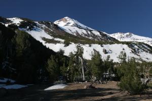 808979 copy (Custom)