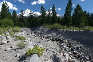 810202 copy (Custom)