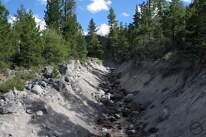 Bolam Creek, along the Whitney Falls Trail. 810208 copy (Custom)