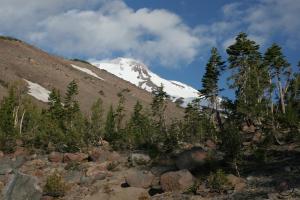 813944 copy (Custom)