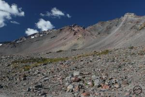 824617 copy (Custom)