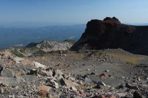 824618 copy (Custom)