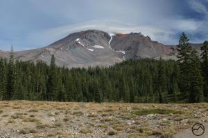 833163 copy (Custom)