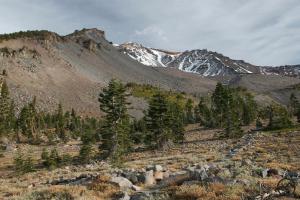 833172 copy (Custom)