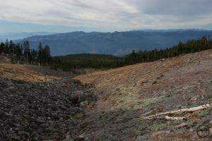 833177 copy (Custom)