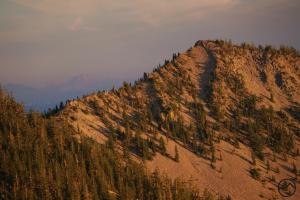 Looking south at the summit of Gray Butte, the trail's end. 833602 copy (Custom)
