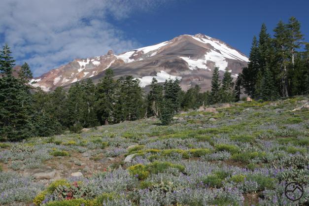 Cascades, Mt Shasta, Clear Creek - Aug2012 099 copy (Custom)