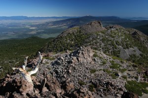 Cascades, Mt Shasta, Northgate - June2012 052 (Custom)