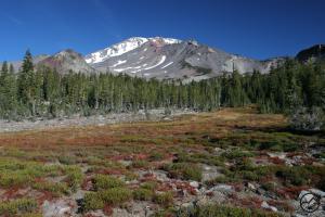 Cascades, Mt Shasta, Squaw Meadow - Nov2011 004 copy (Custom)