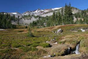 Cascades, Mt Shasta, Squaw Meadow - Nov2011 073 (Custom)