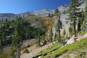 Cascades, Mt Shasta, Squaw Meadow - Oct2012 032 (Custom)