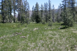 Scott Mountains, China Mountain - July2011 001 copy