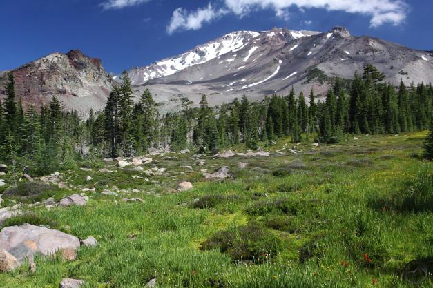 Mount Shasta and Upper Panther Meadow.