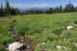 Great view of the Castle Crags from the upper meadow.