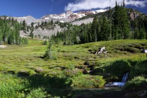 Verdant South Gate Meadow.