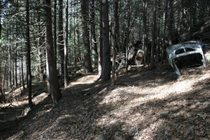 Trinity Divide, Box Canyon - Feb2013 020 copy