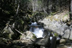 Trinity Divide, Castle Crags - April2011 043 copy (Custom)