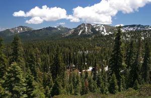 Trinity Divide, Cliff Lake - July2011 002 copy (Custom)