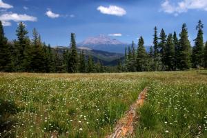 Trinity Divide, Porcupine Peak - Aug2008 019 copy (Custom)