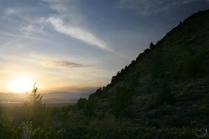 710829 copy (Custom)