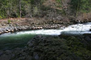 Along the Sacramento River Trail.