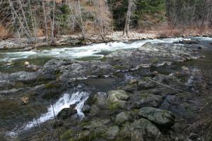 Trinity Divide, Sacramento River - March2013 069 (Custom)