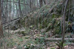 Trinity Divide, Sacramento River - March2013 099  (Custom)