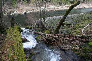 Trinity Divide, Sacramento River - March2013 118  (Custom)