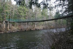 Trinity Divide, Sacramento River - March2013 124  (Custom)