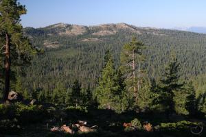 736420 copy (Custom)